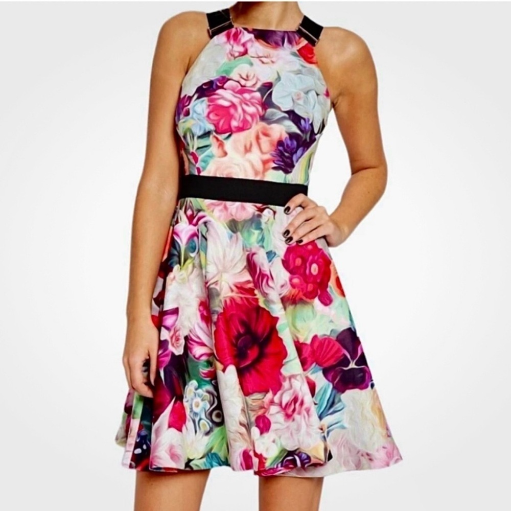 Ted Baker Samra Watercolor Floral Fit & Flare Skater Dress 2 sleeveless colorful